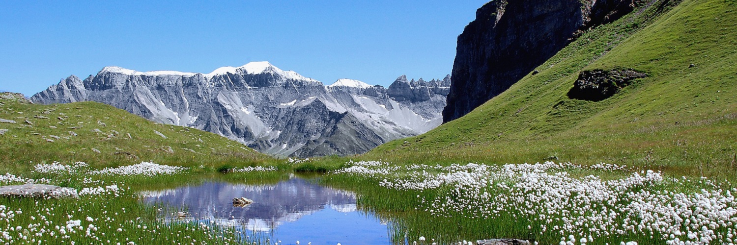 News und Inspiration für den Kanton Glarus